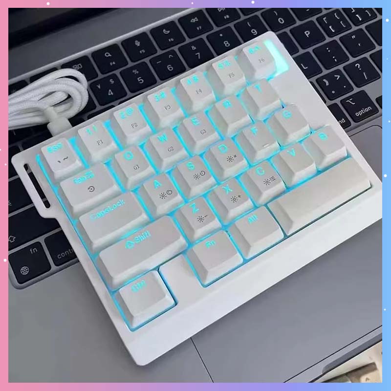 Esports In Gaming - HE30 Mechanical Gaming Keyboard 29keys Magnetic