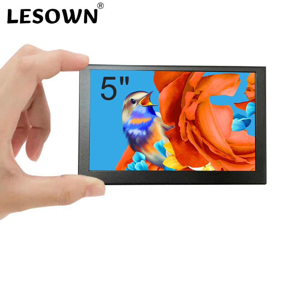 LESOWN 5 Inch Mini Monitor IPS - Gaming Monitor Curved 评论和价格