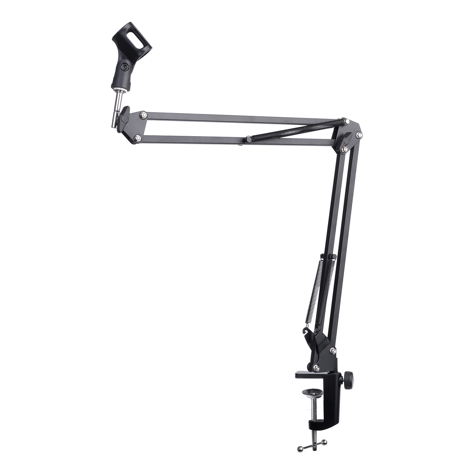 Extendable Recording Microphon - Microphone Arm Boom 评论和价格